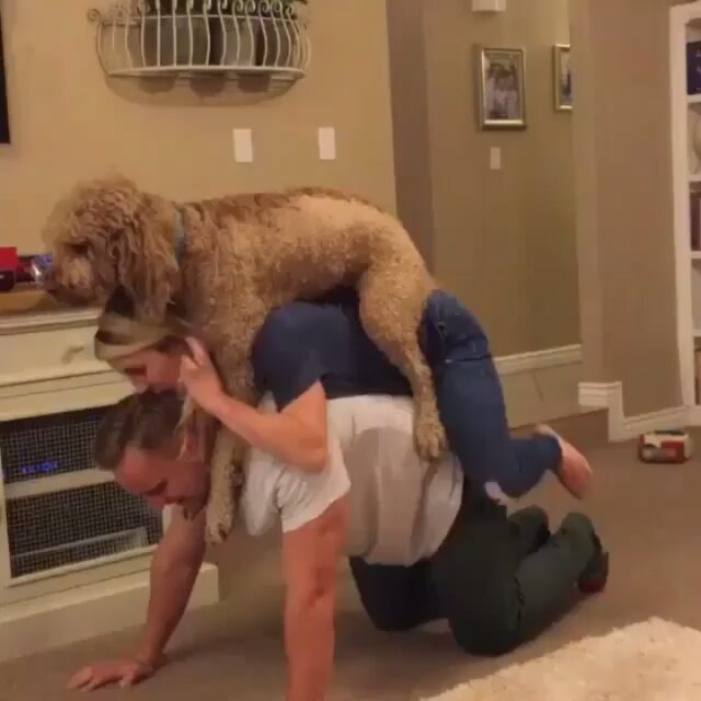 Family push up? ... From @jacked_and_jill 
#lovefood #eatguide #myfab5 #sgfoodie #igsg #sgfoodblogger #eater #eatmunchies #foodography #foodiegram #yahoofood #f52grams #foodnetwork #foodislife #beautifulcuisines #foodislove #foodoftheday #huffposttaste #spoonfeed #infatuation #vscofood #candy #pretzel #chocolate #sweets #cake #sharefood #nyceats #yumm #desserts - Karolina (@couple.fitness.tips)