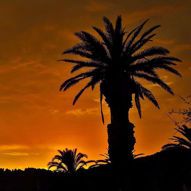 ??, Sunlight! The most precious gold to be found on Earth.? ⠀
― Roman Payne⠀
📷: @timotej ⠀
⠀
⠀
#travel #travelgram #vacation #instatravel #adventure #travelphotography #live #life #explore #bucketlist #traveling #travelling #getaway #visit #travelporn #view #travelpics #picoftheday #igtravel #quote #travelquote #paradise #photooftheday #travelinspiration #wanderlust #nature - Balicosy Villas (@travelling.traveller)