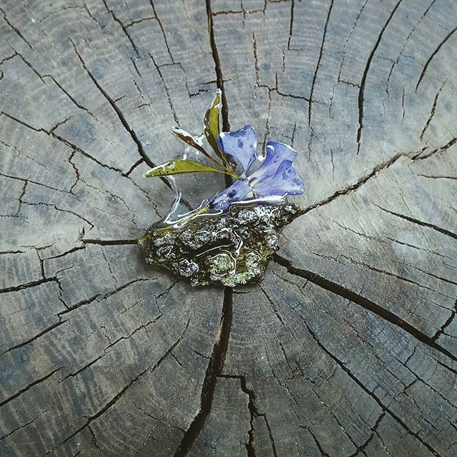 Tenderness of nature captured in resin❇⚫ Барвінкова брошка приєдналась із зеленкавістю кори, щоб створити суцільну ніжність ⚫ Ціна 460 грн #periwinkle #bark #resinart #resinartist #resindrop #epoxyresin #resinjewelry #resinbrooch #artbrooch #breastpin #brooch #naturelover #daybyday #instadaily #countryside #vsco #vsco_kiev #vscocam #iglove #igukraine #igerskiev #summertime #stilllife #beautyinthedetail #keepitslow  #madeinukraine #uamade #innergarden_jewelry #statementbrooch #statementjewelry - BPA Nature (@_innergarden)