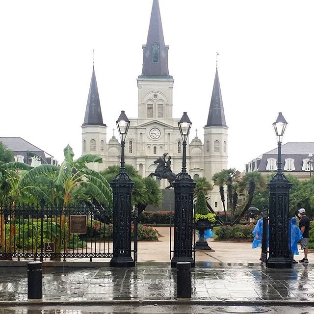 Beautiful, even in the rain - TOTAL_MEXICO (@galinasgs)