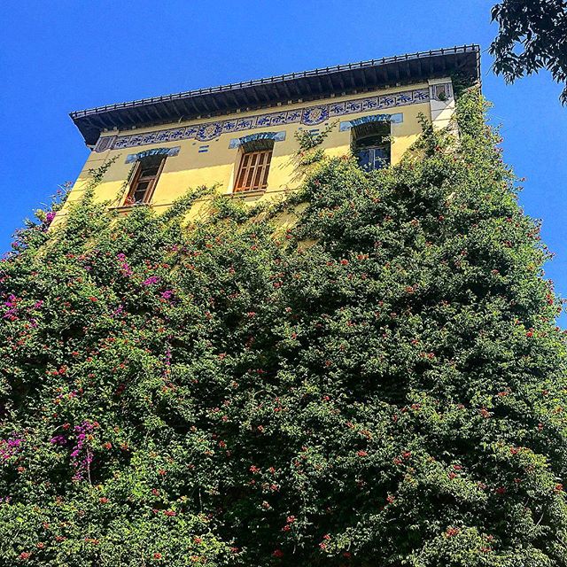 #bluesky #travel_captures #travelstoke #earthpix #earthfocus #ourplanetdaily #citytrip #travel #beautifuldestinations #beautifulview #greatlandscapes_oftheworld #worldcaptures #travel_captures #picoftheday #ig_europe #igers_europe #europe_greatshots #igs_europe #europe_gallery #greatshot #places_wow #amazingplaces #worldplaces #wonderful_places #igtravel #bestnatureshots #awesome_earthpix #master_shots #worldtravelspics - Batam Island 🇲🇨 (@gblphotographer)