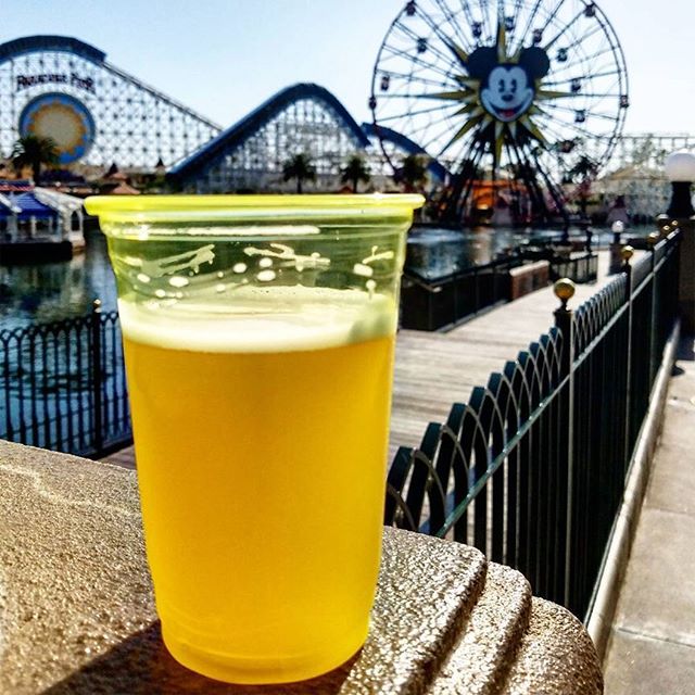 We know we JUST went to the parks this weekend, but it's never too soon to think about going back, right?
Remember, our presale is going on until tomorrow night, have you been able to get the style/size you wanted? - Travel  Dreams (@harborandballdistributionco)