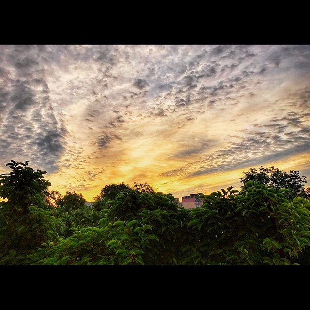🍃☀️🌤
#morning #nature #sunrise #summer #sky #sun #goodmorning #photo #photooftheday #dp #view - Sabine Roll (@ten_nick)