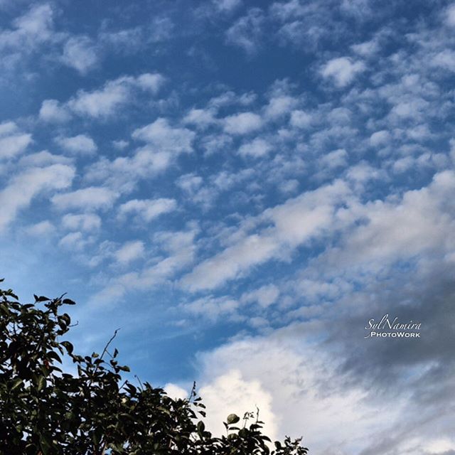 Some people are like clouds. When they disappear, it's a beautiful day.
.
Semoga kita gak spt itu ya. Have a wonderful day, good people 😊
.
.
.
.
@serenityphoto.id #serphoid #serphoid_awanputih #awanputih #apelpemburuawan #cloud #awan #nature #sky #naturephoto #natureshots
. - Mindy Ann (@sylnamira)