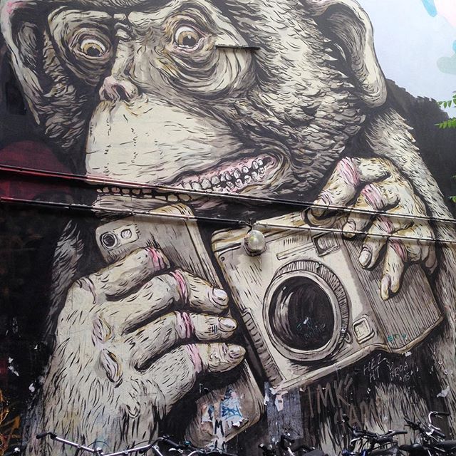 The monkey #Street art #murales #igersberlin #visitberlin #ig_berlin #visitingberlin #wonderlustberlin #walkingaround #discovery #instagood #instalike #instapic #travelgram #beautifuldestination #summertime #berlinstyle #ig_europe #berlin - PUKA (@paosalva79)