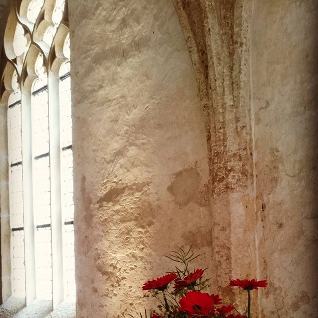 #ptuj#ifelslovenia #slovenia🇸🇮 #europe #dominicanmonostery #history #art #vine🍷 #kulinary #visitptuj 
#zakladnicatisočletij 
#ptujsmoljudjetak�niindrugačni #i💞ptuj - Du�an Gabrovec (@dgabrovec)