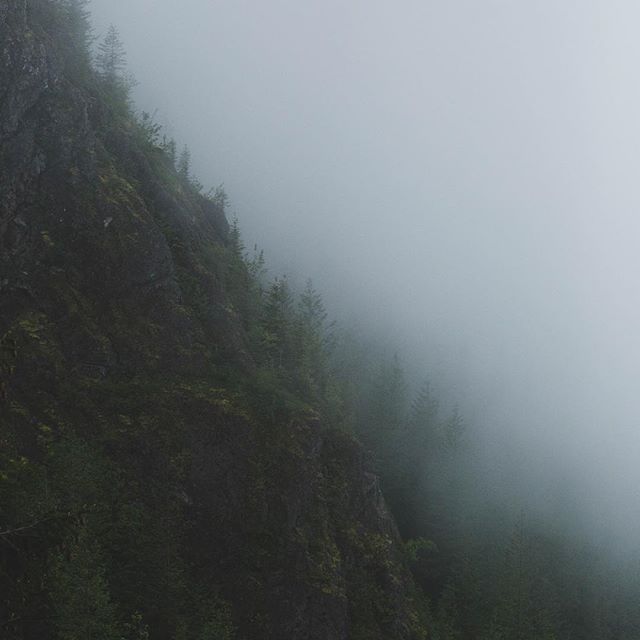 foggy days ✨ - Michele Magnier Wark (@annatersaakov)