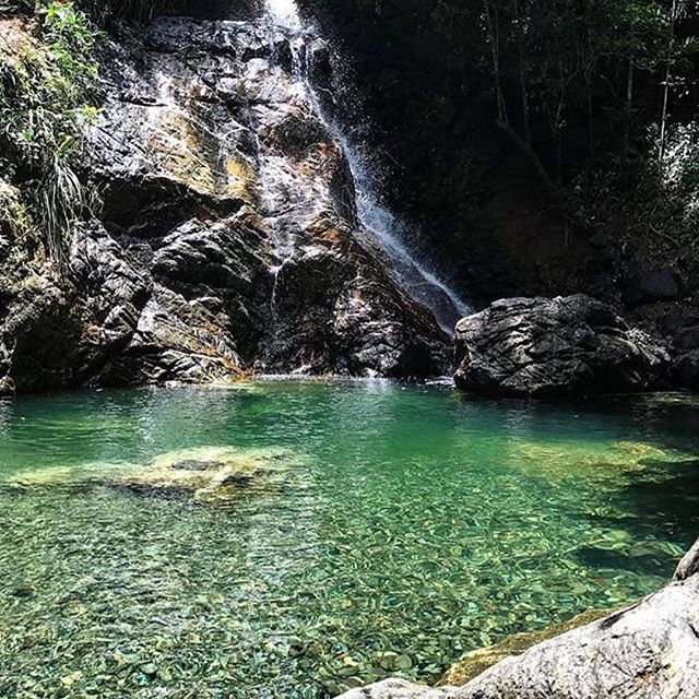 #seepuertorico #vacation #wonderful #puertorico #river #canyon #caribbeanlife #nature #travel #vacation #wonderful #explore #amazing #wanderer #amazingplaces #nature #naturelovers #outdoor #wonderfulplaces #adventure #landscape #wanderlust #gotogether #roamtheplanet #adventure #adventuretime #wildnature #lifeofadventure #saveplanetearth #adventurelovers #protectnature #exploretocreate #naturelovers #adventurethatislife
#Repost @whateverpuertorico - Terrelya (@iamilyc)