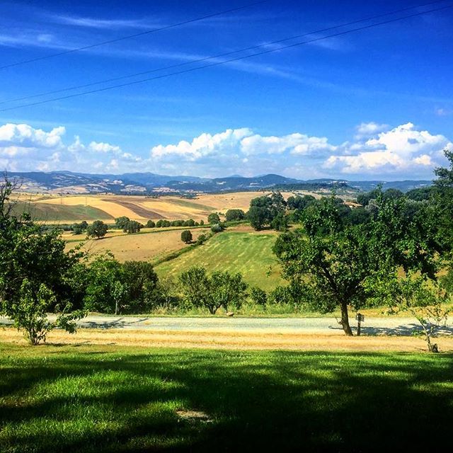 Wonderful view 🍋🌾 - cakes and cookies (@thewanderlustsara)