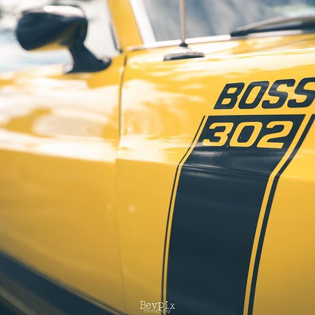 #photography ? #original ? #capture
? Cooly Rocks On!
? The Boss - MIKE (@bevpix)