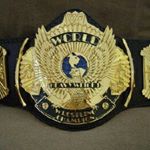 WWE Women's Wrestling 🤼?♀️ (@wwehistorian)