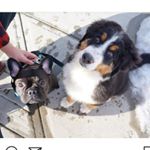 CINO & CORAL (@cinoandcoral)