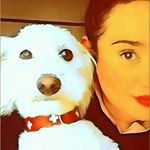 Le Blogue de Pauline (@berlincitydog_benny)