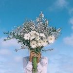 Alessandro Montemurro (@letovanili)